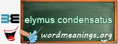 WordMeaning blackboard for elymus condensatus
